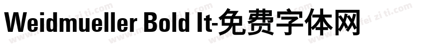 Weidmueller Bold It字体转换